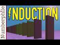 Understanding Induction and Its Applications