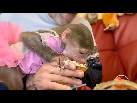 Люська дождалась СВАТОВ с ПОДАРКАМИ и просто накинулась на тортик