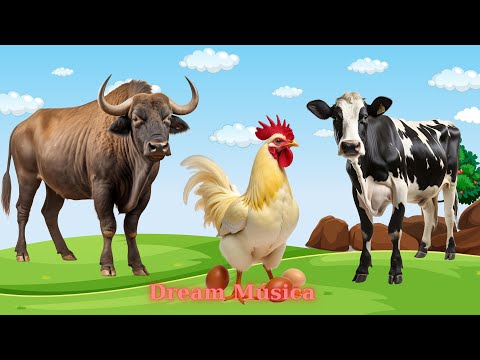 Farm Animal Sound Collection: Buffalo, Chicken, Cow, Monkey, Horse - Animal Videos