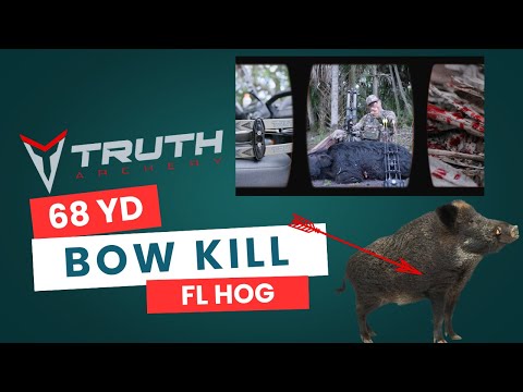 68 Yards | Archery Hog Shot