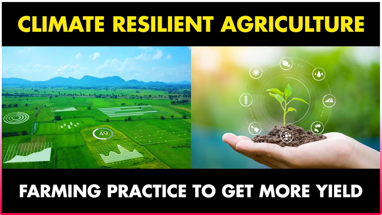 Climate Resilient Agriculture Technology | Amazing Farming Practice to get More Yield?