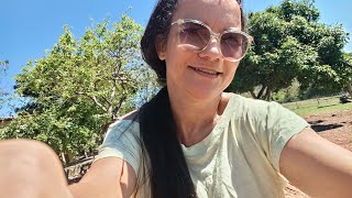 DOMINGUEIRA