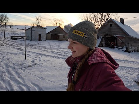 Winter Chore Routine On The Farm!