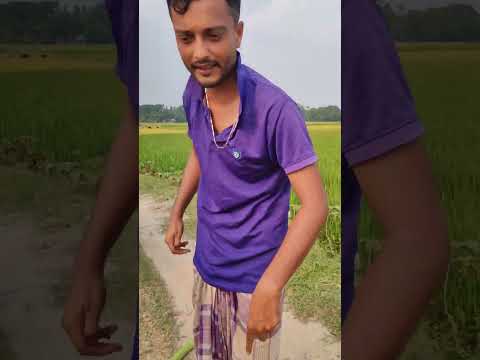 বুদ্ধিমান মুর্তি || Bangla funny video || Mitali Bangla