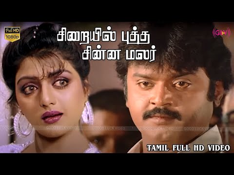 Sirayil Pootha Chinna Malar Movie Scene Part-1 Vijayakanth,Bhanupriya,Shantipriya | Ilaiyaraaja HD