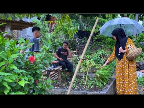 suasana hujan di desa,masak orak arik telur daun kenikir dan omelette mie , masakan desa