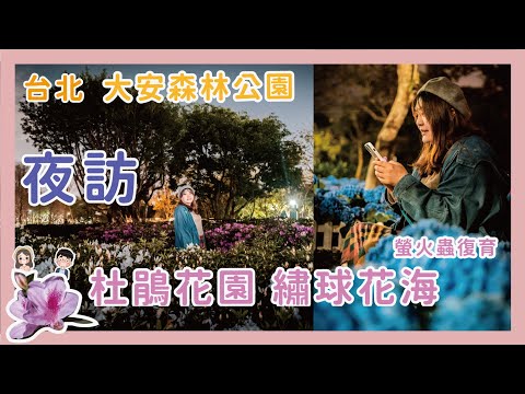 大安森林公園花季晚上 2022.2.27 夜訪也很美 | 杜鵑花季繡球花海 還有螢火蟲復育區 一次看個夠 現場直擊杜鵑冶園位置大安森林公園捷運賞花趣 | 台北花季 | 薰衣草花海 x 【冷娃一隊】