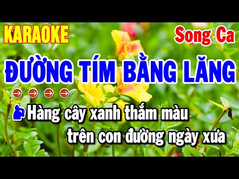 Karaoke Đường Tím Bằng Lăng Song Ca Nhạc Sống Trữ Tình Dễ Hát 2025 | Thanh Hải