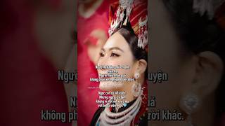 🪷🪷🪷🪷🪷🪷