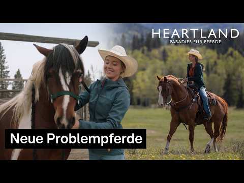 Kann Amy diesen Pferden helfen? | Heartland - Paradies für Pferde | RTL+