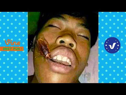 Funniest People Funny Videos 2025 That Will Make You Laugh To Tear 😂 Part 1