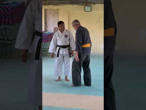Basic Karate Is Sophisticated and Effective
