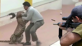 النمر المرقط لا تتردد في الهجوم علي البشر 👍😍🔥🔥 الجزء 5