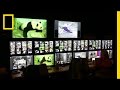 Panda Care and Breeding Practices
