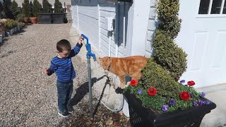 video