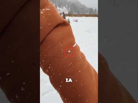 KEPINGAN SALJU ❄ YANG SANGAT LANGKAH😯