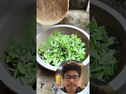 China's Guava Leaf Tea Business