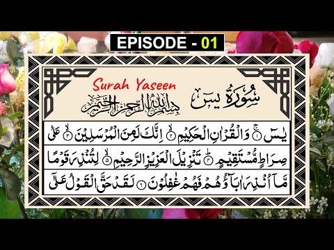 Surah Yasin episode 01 || Surah Yaseen Full Arabic | Daily Quran Tilawat | Yaseen Sharif  سورۃ یٰسین