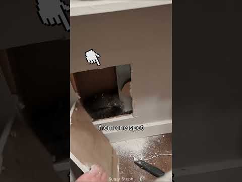 This is the most unexpected visitor ๐ฎ