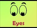 Understanding Eyes