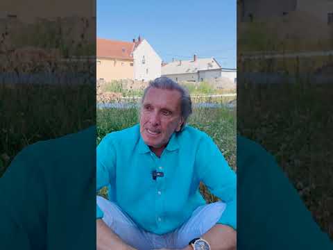 GYÖKEREIM   Polgarnet