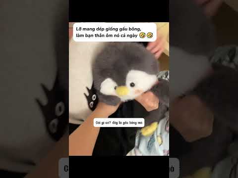 Ê nha... dép mà tưởng gấu bông là sao