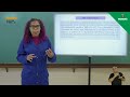 Filosofia e Contribuições dos Pré-Socráticos