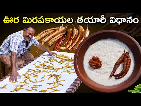 చల్ల మిరపకాయలు తయారీ | Oora Mirapakayalu Recipe In Telugu | Uppu Mirapakaya | Majjiga Mirapakayalu