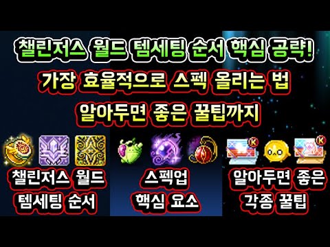 [메이플스토리 맑음] 챌린저스 월드 템세팅 순서 핵심 공략! / 가장 효율적으로 스펙 올리는 법 / 알아두면 좋은 꿀팁까지 (챌린저스 월드 템셋팅)