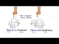 Plural Forms and Articles in English