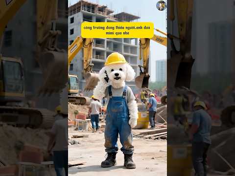 Hạnh phúc nhỏ của gia đình nhà Mimi #ai #shorts #cute #dog #poodle