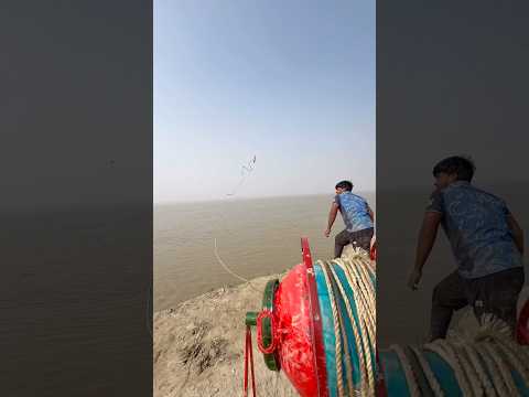 Trying to catch a shark by throwing amazing fish bait #fishinglife #bait