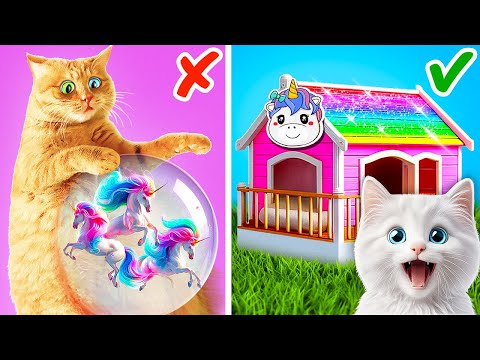 Construí una Casa de Unicornio para un Gato Callejero 😻🌈 *Los Mejores Gadgets y Manualidades ASMR*