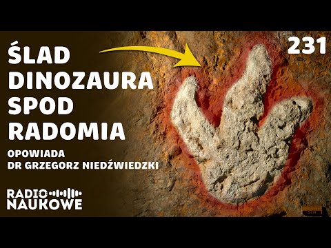 Dinozaury – dlaczego zdominowały Ziemię? | dr Grzegorz Niedźwiedzki