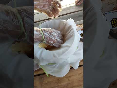 ผึ้งป่า MBRchenสายล่า🐝 ผึ้งป่า