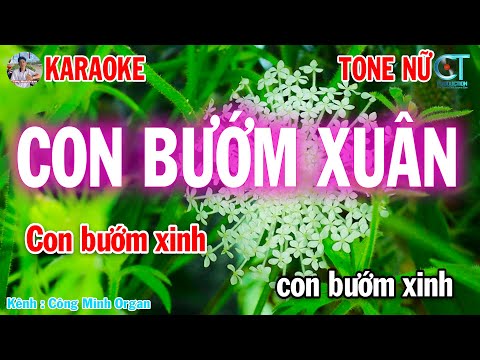 Karaoke Con Bướm Xuân Tone Nữ – Nhạc Sống 2025