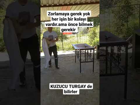 #antalya #antalyaturkey #kuzueti #kuzu #kuzukaburga #kuzupirzola KUZUCU TURGAY ı takip edermisin