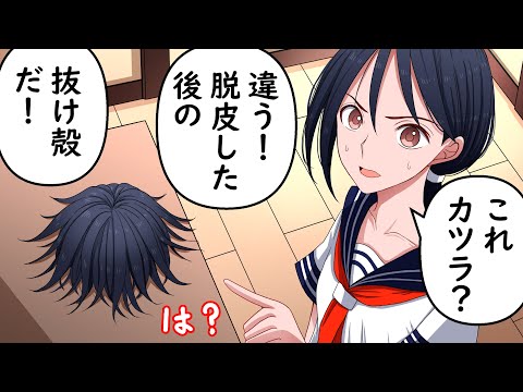 カツラを脱皮した後の抜け殻だと言いはる父親