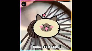 இத கடைசி வர பாருங்க! Facts Ulagam_Facts In Minutes _Facts In Tamil _#shorts
