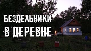 видео