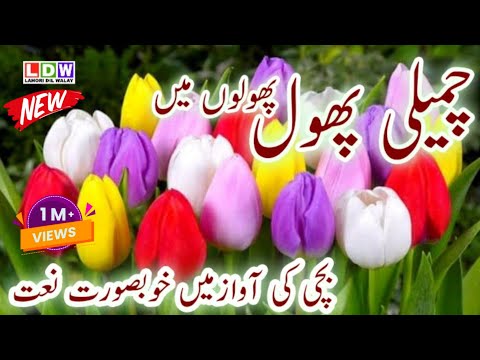 Chameli Phool Phoolon Mein - kids Naat - Naat Sharif - Naat - Lahori diL Walay