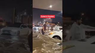 Flood in Dubai - April 2024 #dubaicity #dubaiflood