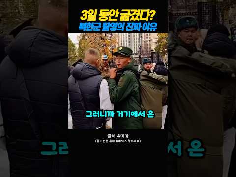 3일간 굶겼다? 북한군이 러시아에서 집단 탈영한 이유