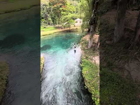 #jamaica 🇯🇲 #caribbean #travel #spanishbridge #bridge #river