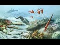 Geological History and Evolution Concepts