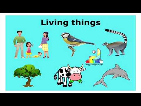 Year 4 Science, Lesson 1, Living things-Introduction