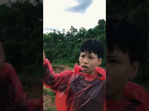Xanh xin báo You hạnh Đi vào Rừng tìm