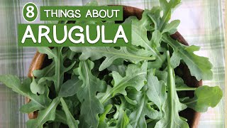 8 Things About Arugula Greens - Rocket Lettuce Nutrition
