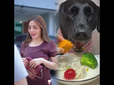 #funny #youtubeshorts
