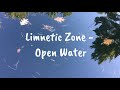Exploring Pond Ecosystems and Life